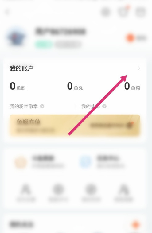 斗鱼怎么查看消费记录